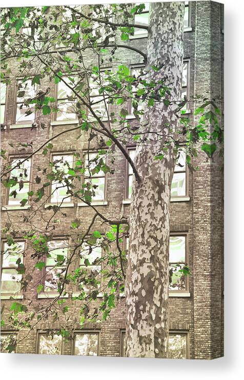 Amenities Canvas Print featuring the photograph Bryant Park by JAMART Photography