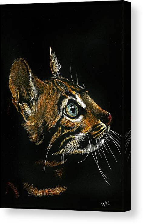 Drawing Canvas Print featuring the drawing Cat Looking Up by William Underwood