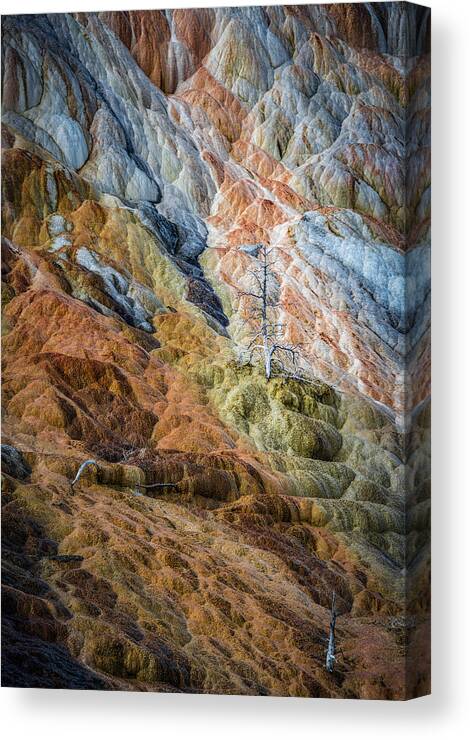 Landscape Canvas Print featuring the photograph Colours Of Yellowstone by Colin Dixon