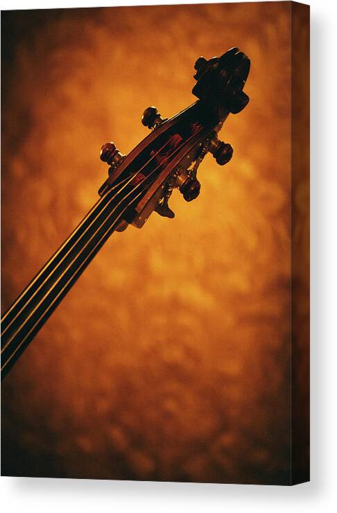 Music Canvas Print featuring the photograph Double Bass Head by Thepalmer