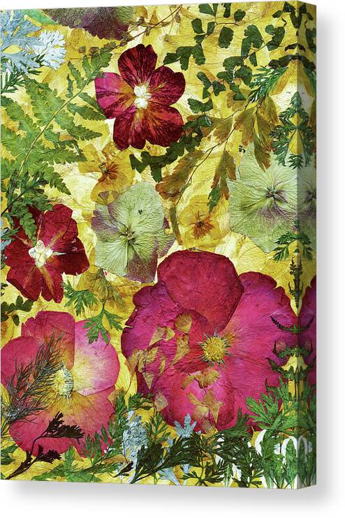 Dried Flowers 28 Canvas Print featuring the painting Dried Flowers 28 by Dryflowersart