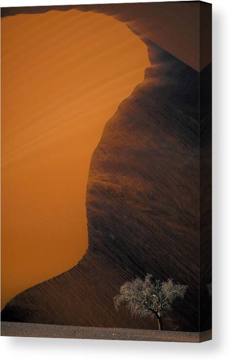 Dune Canvas Print featuring the photograph Drifting Sand by Myriam Leplat