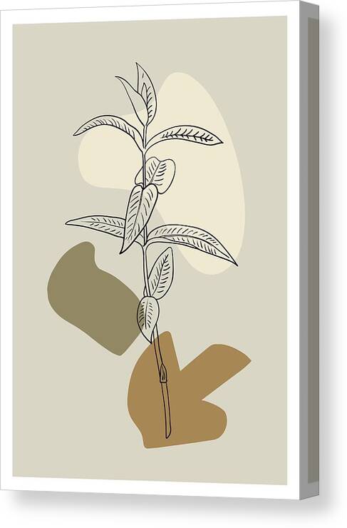 Flowers Canvas Print featuring the digital art Elegance Minimalistic Contemporary by Yuliya Kachan