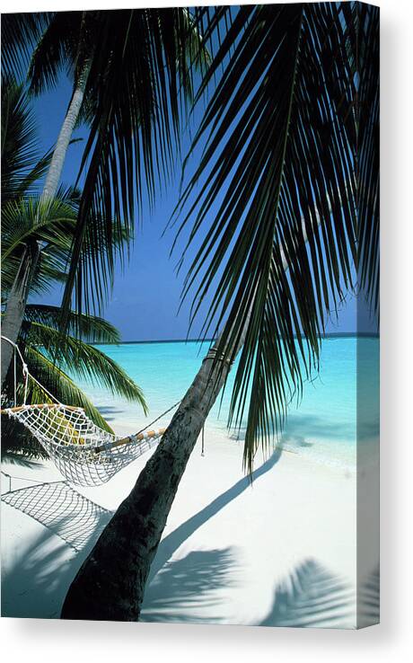 Empty Canvas Print featuring the photograph Empty Hammock On Beach by Buena Vista Images