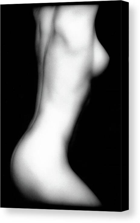 Nude Canvas Print featuring the photograph Erica's Torso by Lindsay Garrett