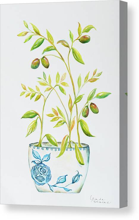 Extend An Olive Branch Canvas Print featuring the mixed media Extend An Olive Branch by Linda Arandas