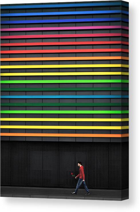 Lines Canvas Print featuring the photograph Feeling Red by Samanta Krivec