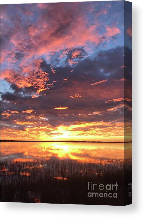 Sunrise Canvas Print featuring the photograph Flash by LeeAnn Kendall