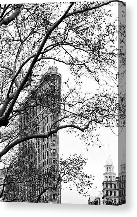 Flat Iron Canvas Print featuring the photograph Flat Iron Through the Trees by Cate Franklyn