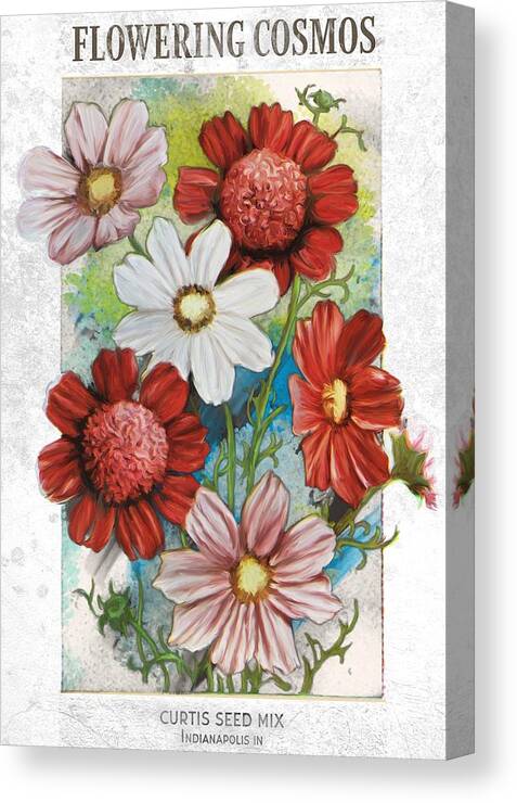Seed Packet Stretched Canvas Print