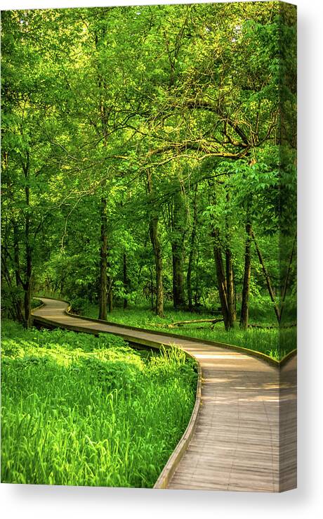 Boardwalk Canvas Print featuring the photograph Forest Boardwalk by Tito Slack
