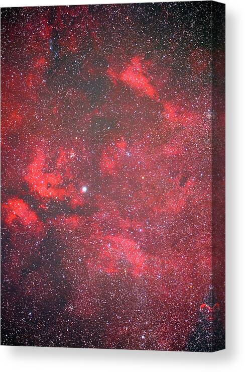 Constellation Canvas Print featuring the photograph Gamma Star by Imagenavi