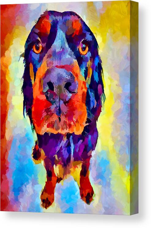 Gordon Setter Canvas Print featuring the painting Gordon Setter by Chris Butler