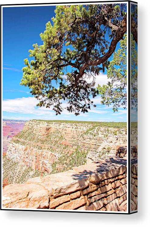 Grand Canyon Canvas Print featuring the photograph Grand Canyon, Arizona by A Macarthur Gurmankin
