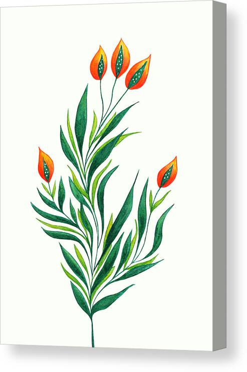Green Canvas Print featuring the drawing Green Plant With Orange Buds by Boriana Giormova