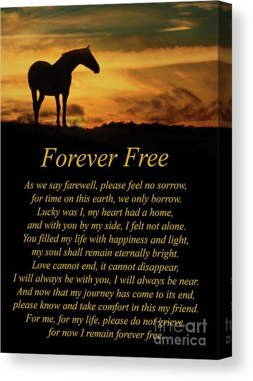 Horse Canvas Print featuring the photograph Horse Tribute Memorial for Horse with Original Poem by Stephanie Laird