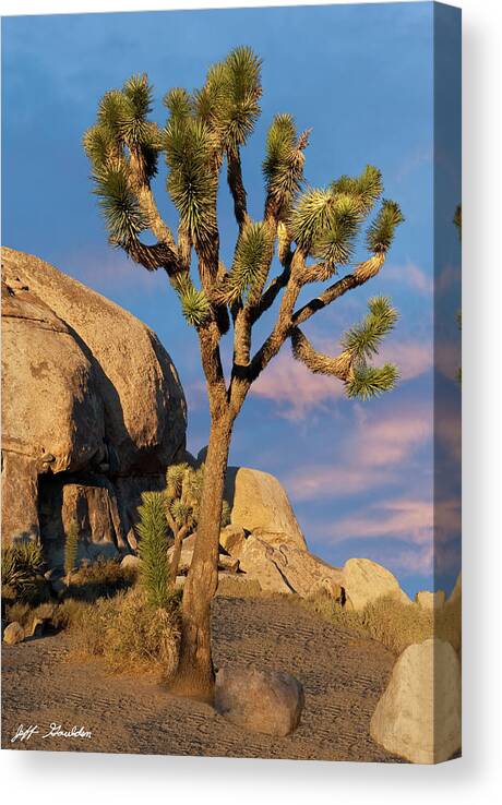 Agave Canvas Print featuring the photograph Joshua Tree at Cap Rock by Jeff Goulden