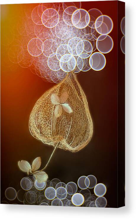 Bokeh Canvas Print featuring the photograph Kiss The Bubbles by Lydia Jacobs