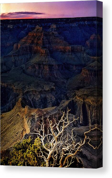 Canyon Canvas Print featuring the photograph La Cathdrale Engloutie by Eden Antho