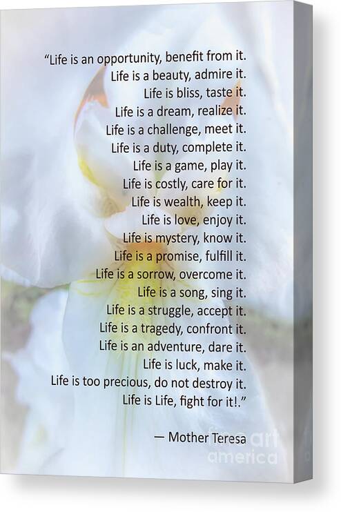 Mother Teresa Canvas Print featuring the photograph Life Is An Opportunity by Amy Dundon