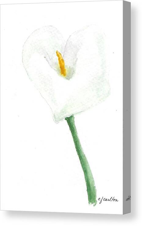 Lily Canvas Print featuring the painting Calla Lily by Claudette Carlton