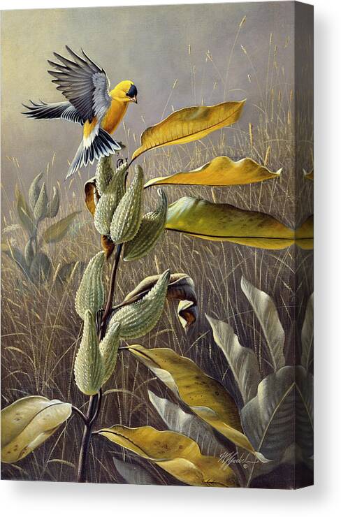 Goldfinch Landing On A Plant In A Field Canvas Print featuring the painting Meadow Gold by Wilhelm Goebel