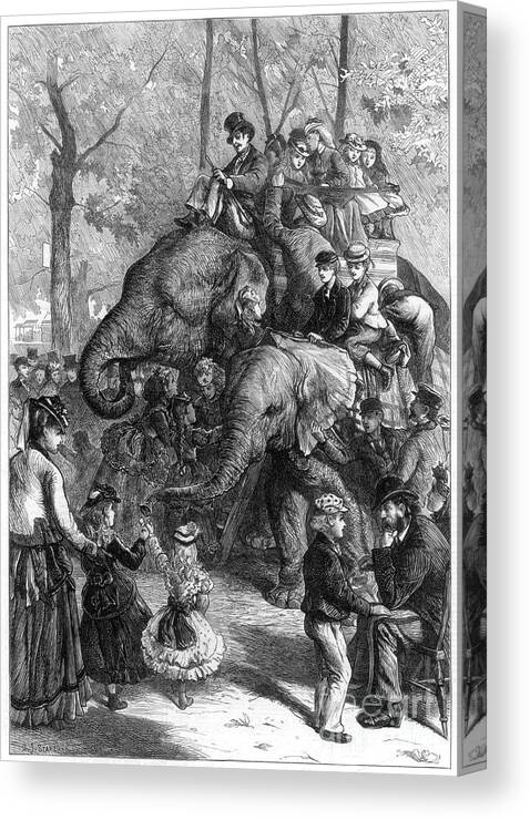Engraving Canvas Print featuring the drawing Monday Afternoon At The Zoological by Print Collector