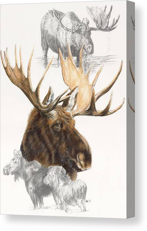 Moose Canvas Print featuring the painting Moose by Barbara Keith
