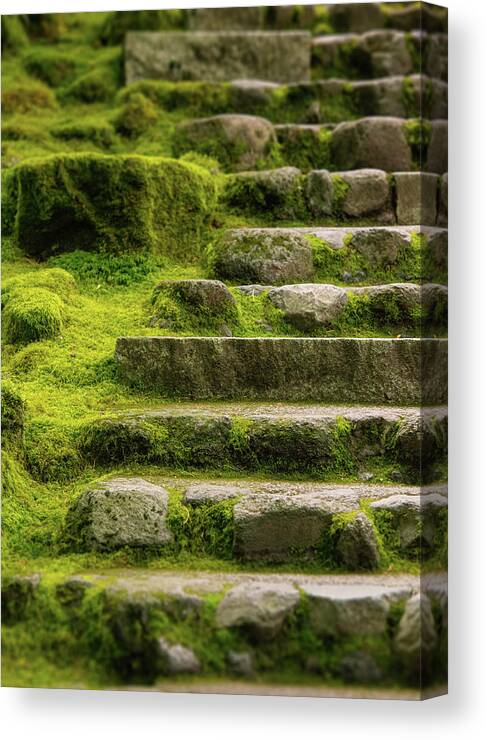 Tranquility Canvas Print featuring the photograph Moss Covered Stone Steps by Jason Harris
