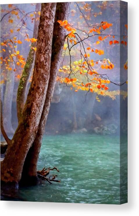 Ozark Canvas Print featuring the photograph Arkansas Ozark Autumn by Harriet Feagin
