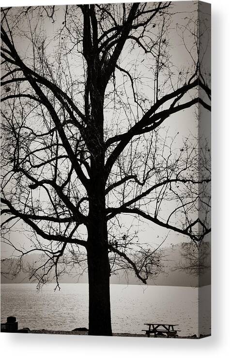 Park Canvas Print featuring the photograph Park Day by Michelle Wittensoldner