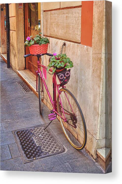 Art Canvas Print featuring the photograph Petals And Pedals by JAMART Photography