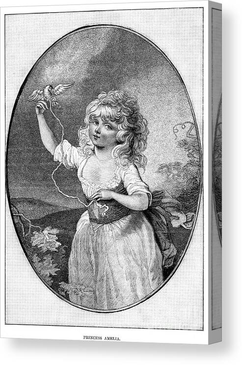 Pets Canvas Print featuring the drawing Princess Amelia, Youngest Daughter by Print Collector