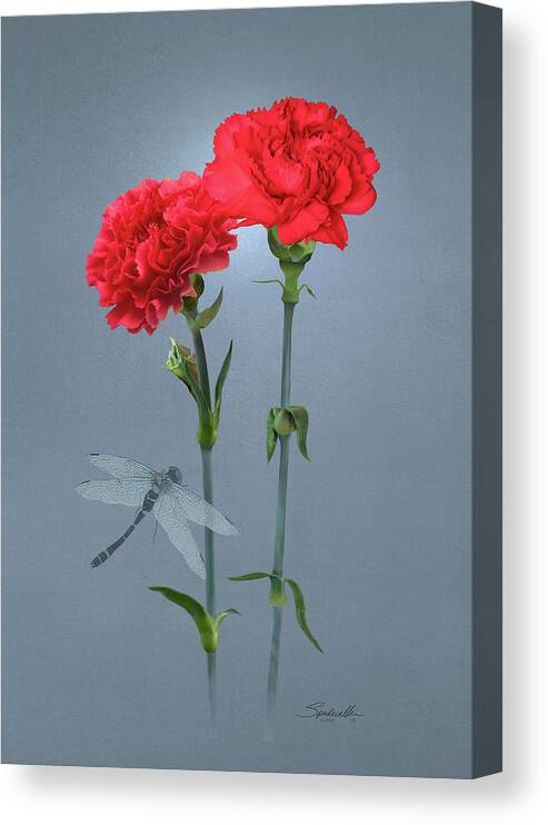 Flowers Canvas Print featuring the digital art Carnations of Eden by M Spadecaller
