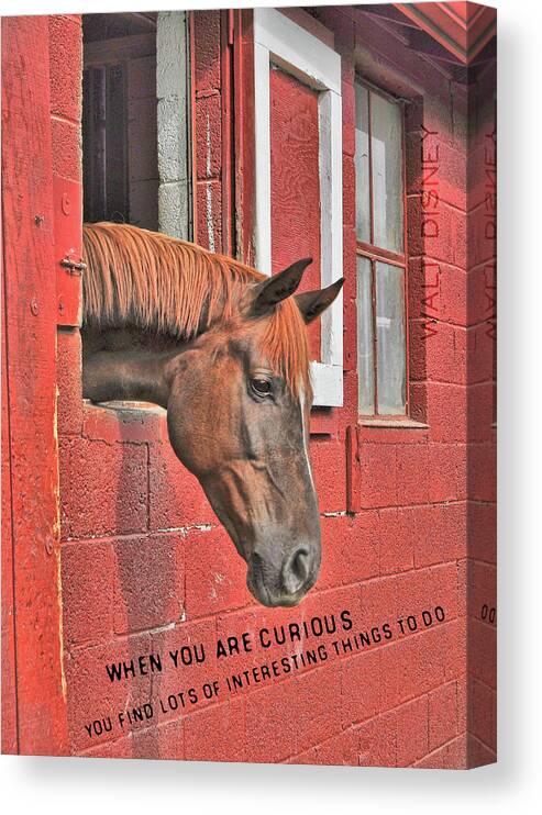 Barn Canvas Print featuring the photograph RED HORSE quote by Dressage Design