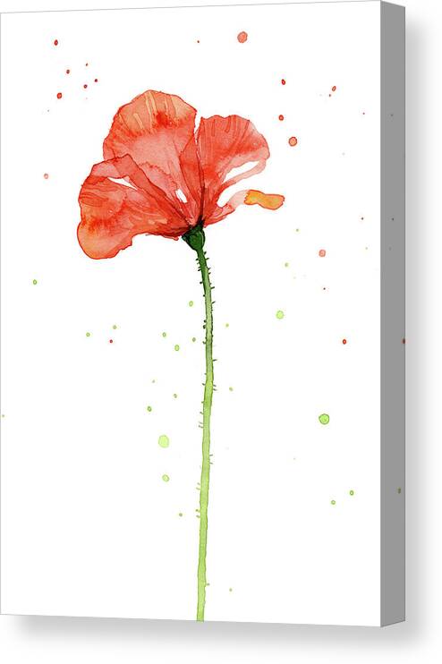 Poppy Canvas Print featuring the painting Red Poppy Flower by Olga Shvartsur