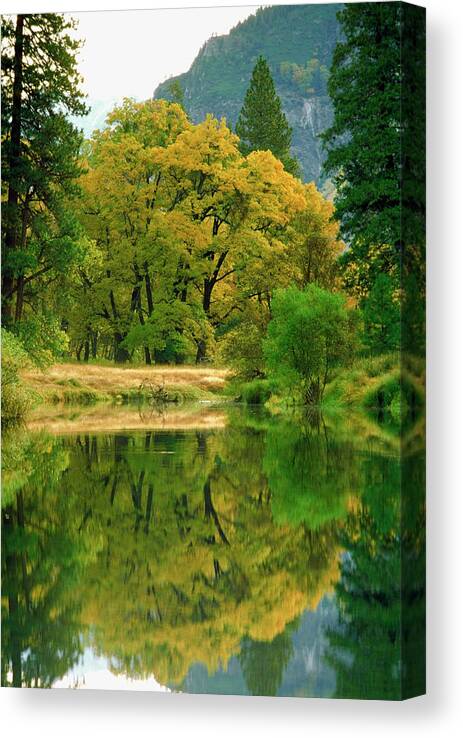 Scenics Canvas Print featuring the photograph Reflection Of Trees In Merced River by Medioimages/photodisc