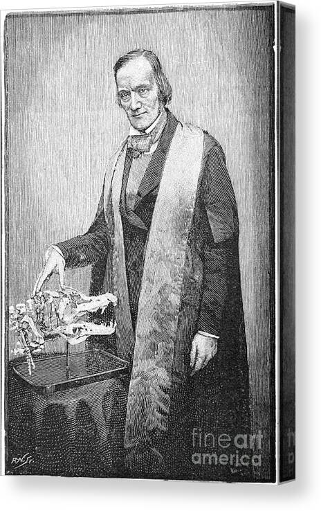Engraving Canvas Print featuring the drawing Richard Owen, British Naturalist, C1856 by Print Collector