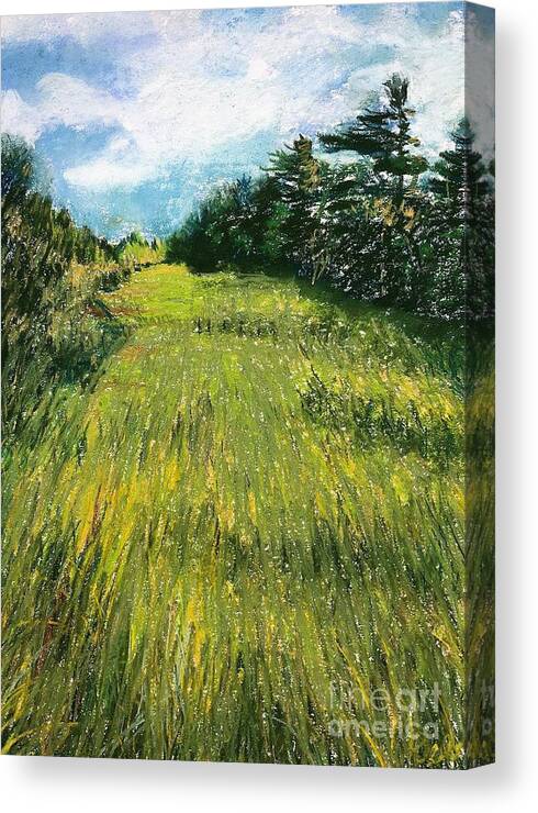 Green Field Canvas Print featuring the pastel Ridges Swale by Deb Stroh-Larson