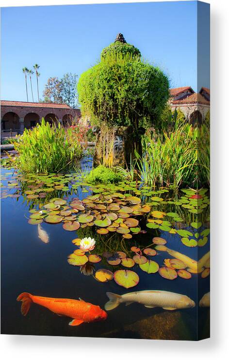 Koi Pond And Fountain Canvas Print featuring the photograph San Juan Capistrano California Mission Lotus Flower with Koi by Catherine Walters