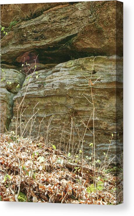 Erosion Canvas Print featuring the photograph Sandstone Wall by Phil Perkins
