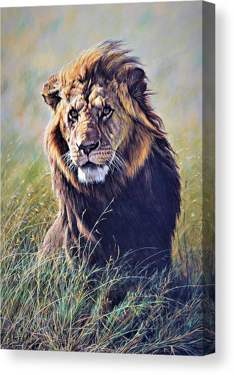 Featured image of post Canvas Lion Painting Images / New lion tiger leopard 10x8 portrait size canvas painting.