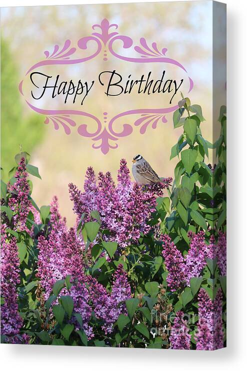 Happy Birthday Canvas Print featuring the photograph Sparrow in Lilacs Birthday Card by Carol Groenen