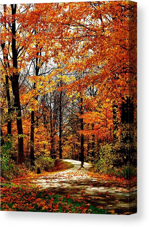 Landscape Canvas Print featuring the photograph Stowe Path in Fall Colors by Monika Salvan