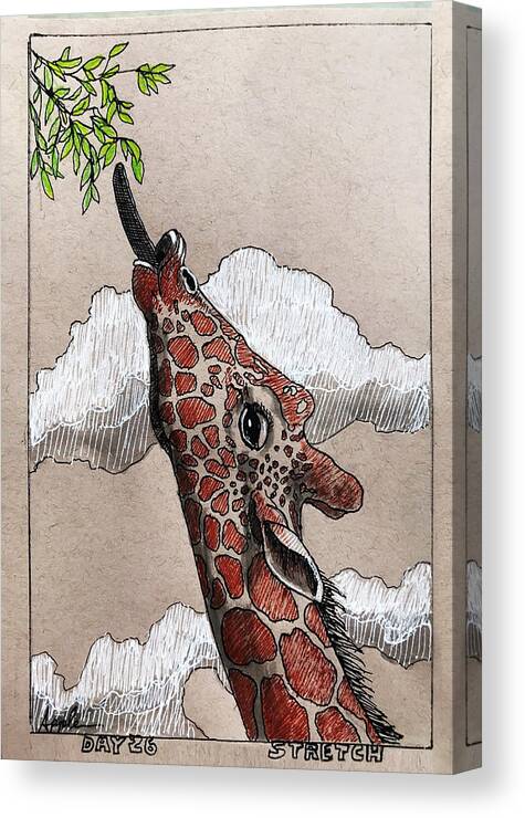 Drawing Canvas Print featuring the drawing Stretch - giraffe by Linda Apple