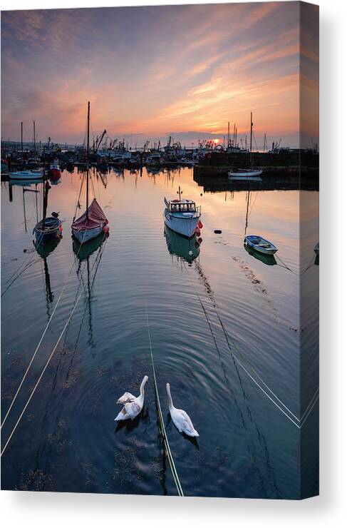 Sunrise Frolic Canvas Print featuring the photograph Sunrise Frolic by Michael Blanchette Photography