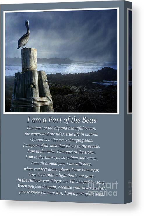 Sympathy Canvas Print featuring the photograph Sympathy Grieving Burial At Sea Spiritual Poem by Stephanie Laird
