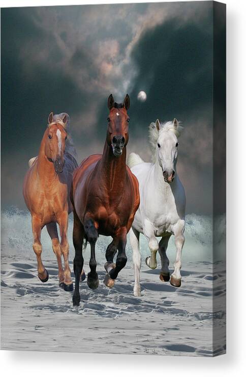 The Charmed Ones Canvas Print featuring the photograph The Charmed Ones by Bob Langrish