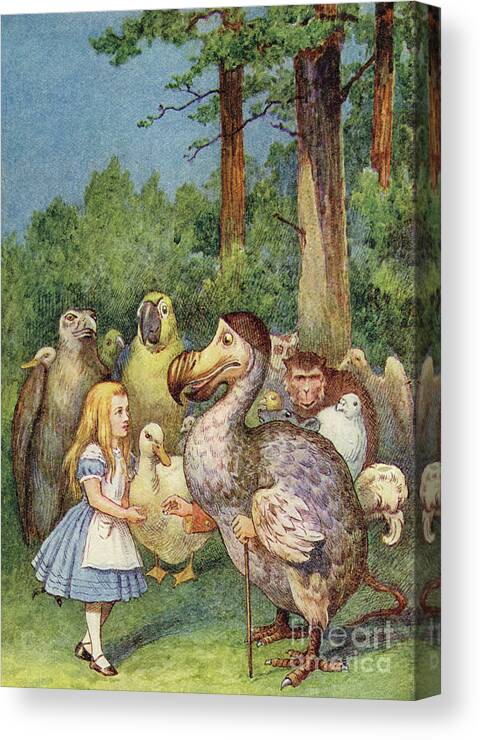 Lewis Carroll Canvas Print featuring the drawing The Dodo presents Alice with a thimble by John Tenniel