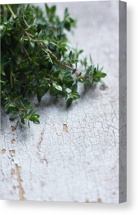 Wood Canvas Print featuring the photograph Thyme On Old Wooden Table by Paul Viant
